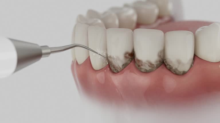 Reliable Dental contractor in Spotsylvania Courthouse, VA by Dentist Open Now